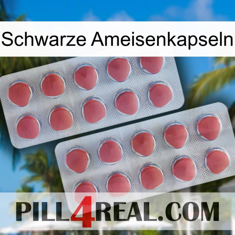 Black Ant Capsules 19